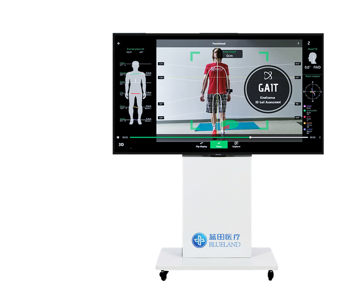 智能全身康复运动功能评估系统